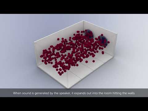 Explanatory video by Complete Acoustic Treatment System